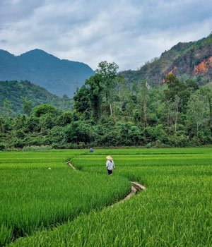 Mai Chau, Guía de Vietnam