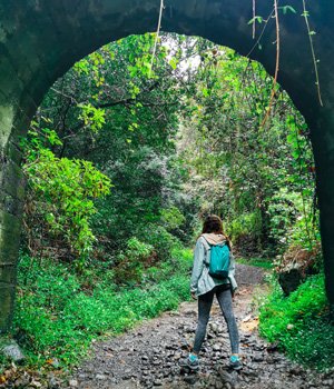 La Palma, guía de las Islas Canarias