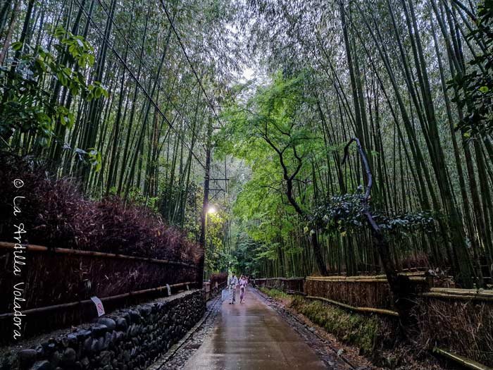 Arashiyama, que ver en Kioto
