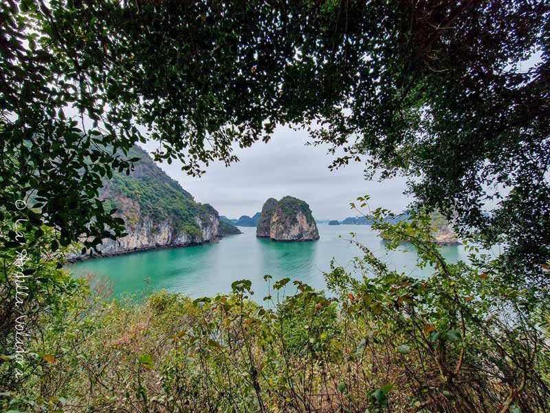 Bahía de Ha Long excursiones