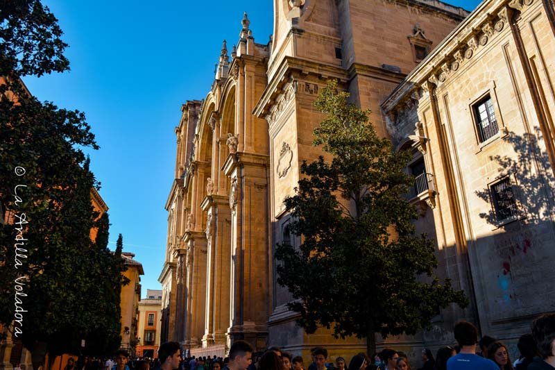 Catedral, Que ver en Granada