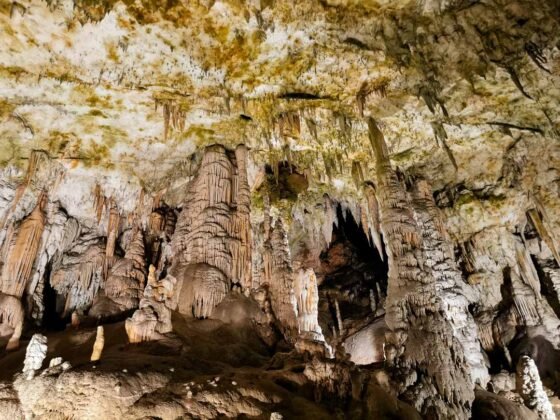 Cueva de Postojna