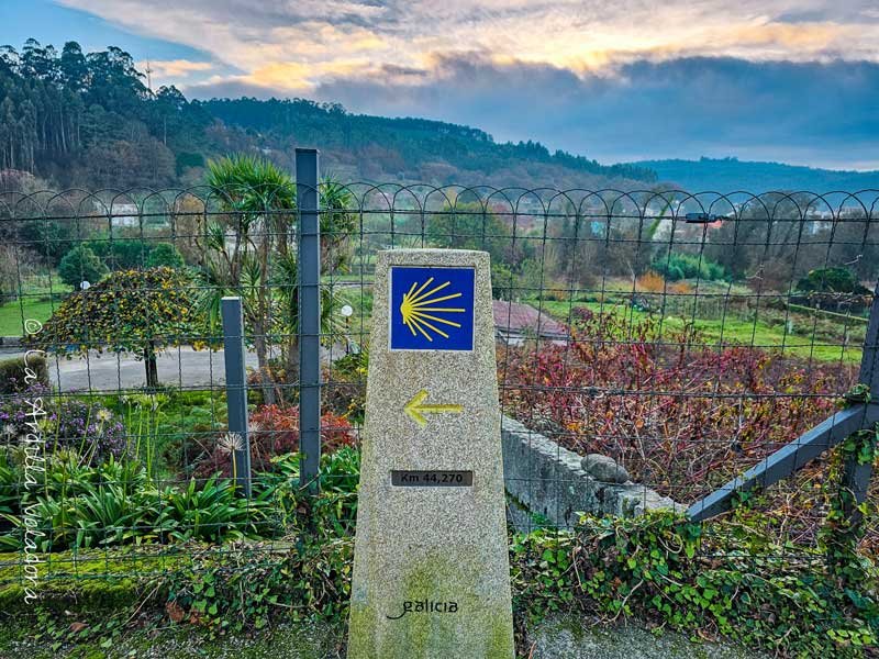 El camino, Organizar el Camino de Santiago