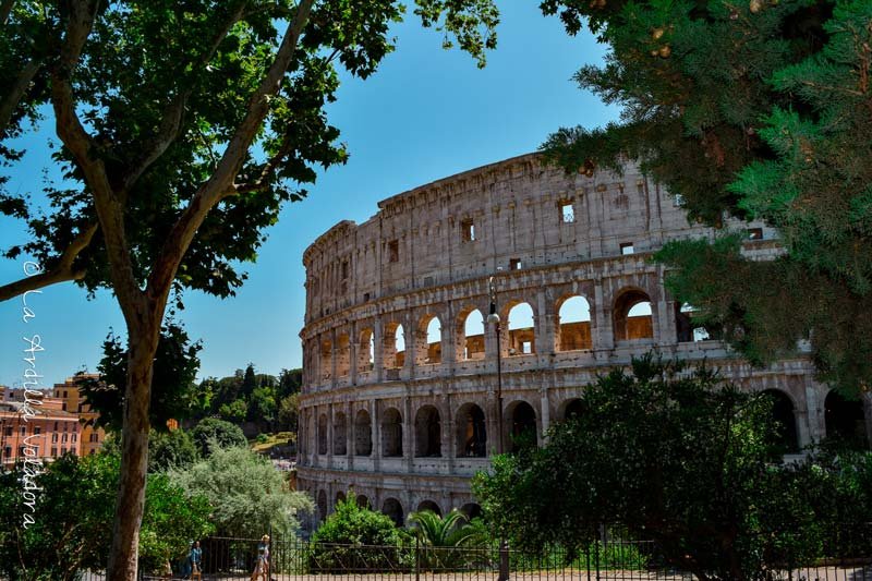 El Coliseo, imprescindibles en roma