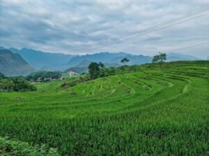 excursiones desde Hanoi