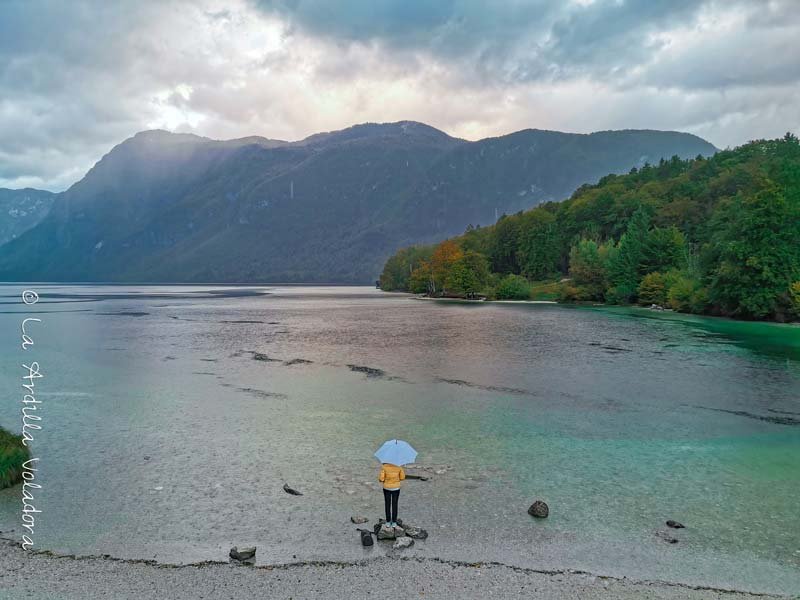 Lago Bohinj