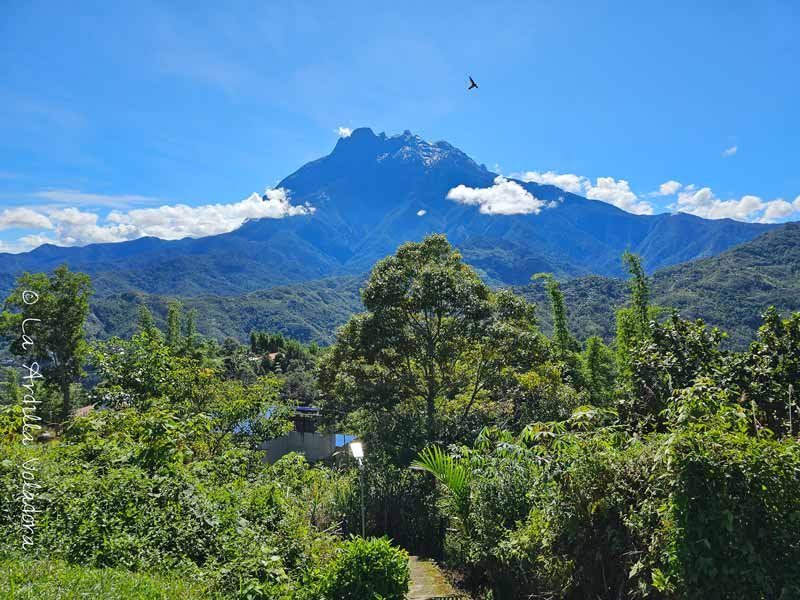 Mount Kinabalu, que ver en Kota Kinabalu