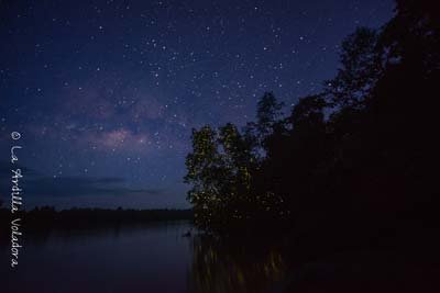 Noche en el rio kinabatangan, que ver en sabah