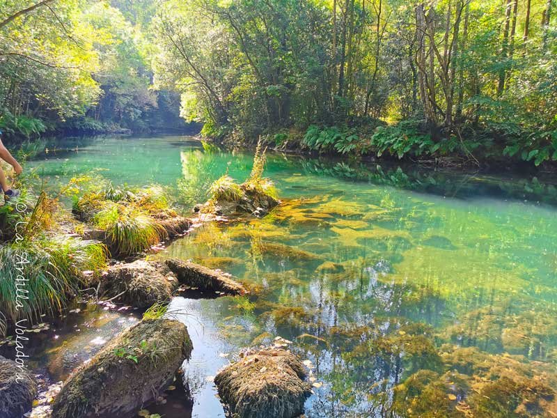 Paisajes de las Fragas del Eume