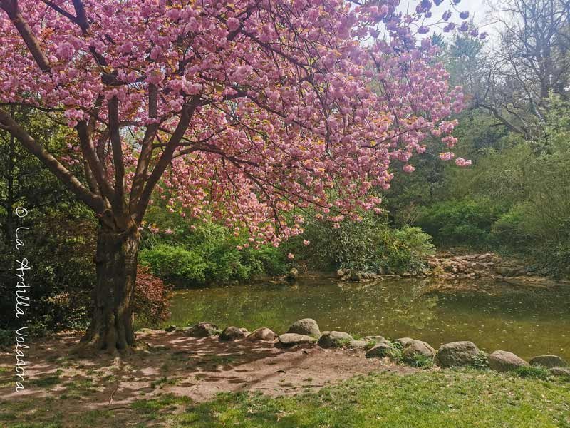 Parque Victoria, que visitar en Berlin