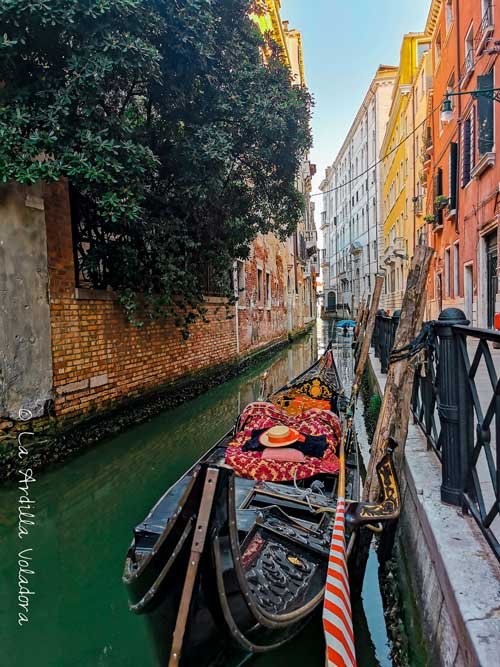 Paseo en Gondola, mejores miradores de Venecia