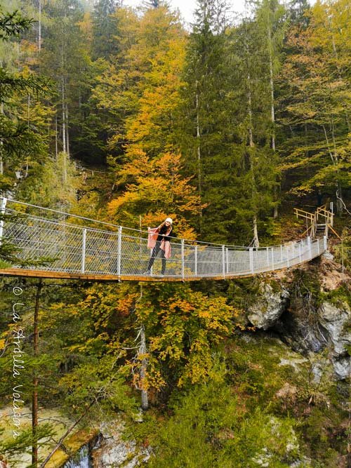 Puente Colgante, Lago Jasna