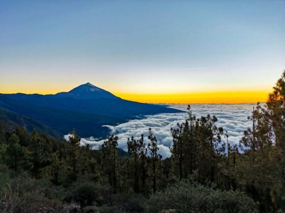 que hacer en tenerife