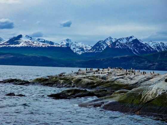 que ver en ushuaia