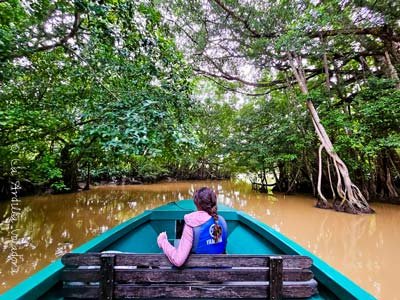 Rio Kinabatangan, que ver en sabah