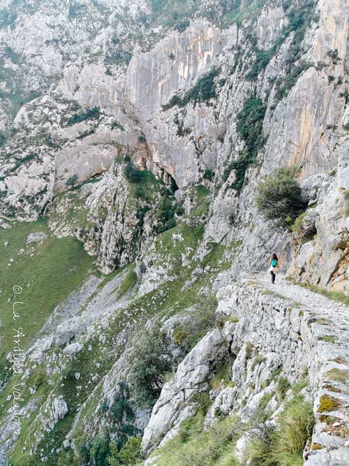 Sendero Ruta del Cares