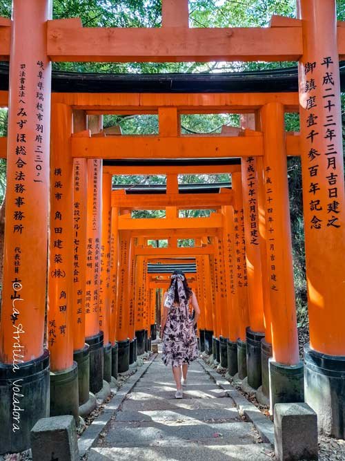 Templo Fushimi Inari, que ver en Kioto