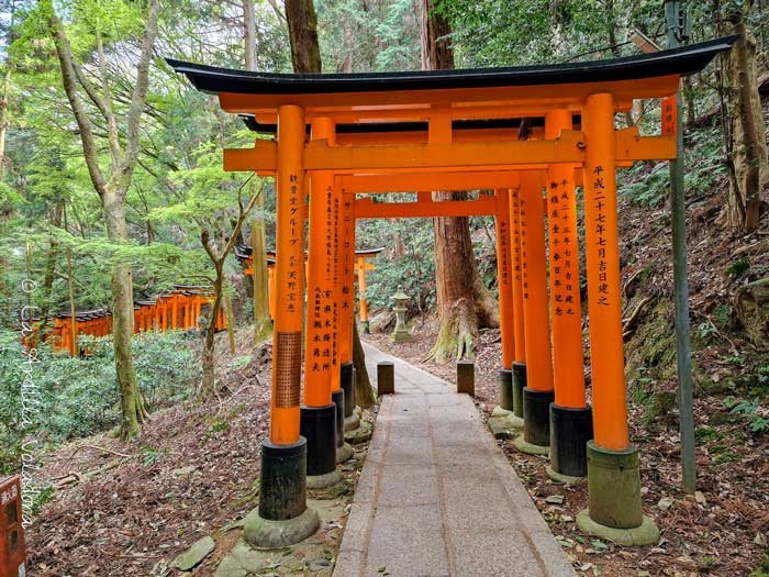 Toris Fushimi Inari, que ver en Kioto