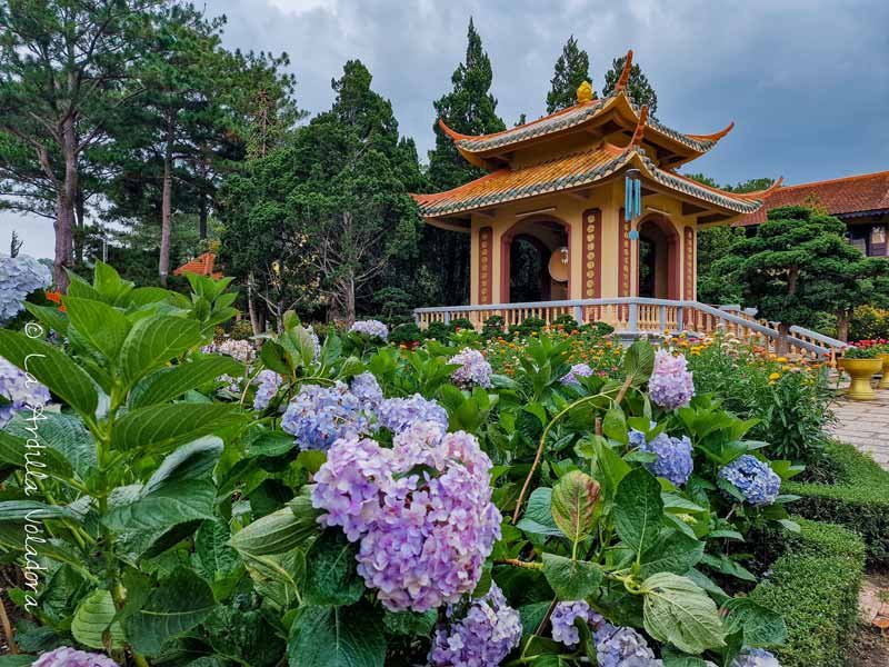 Truc Lam Buddhist Monastery, que ver en Da Lat