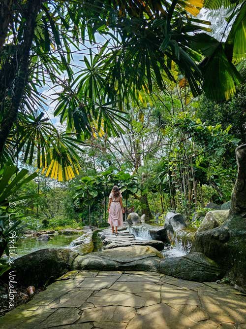 Jardín Botánico, que ver en Kuala Lumpur