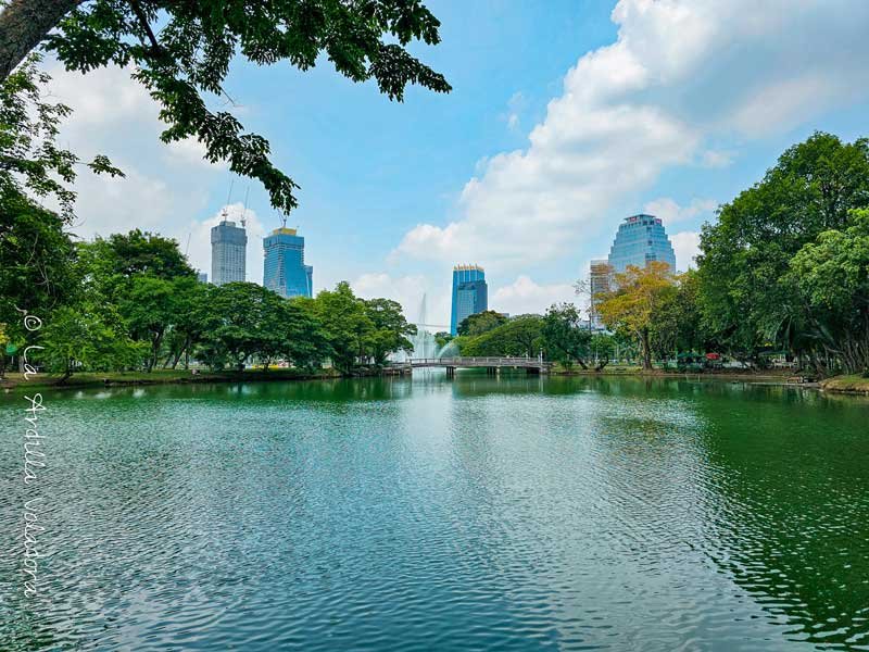 Lumphini Park, que ver en Bangkok