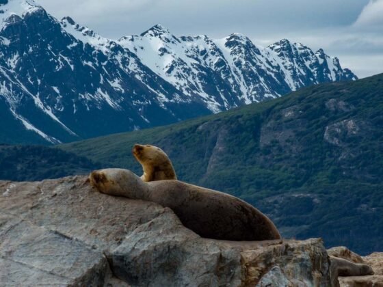 Que ver en Patagonia Argentina