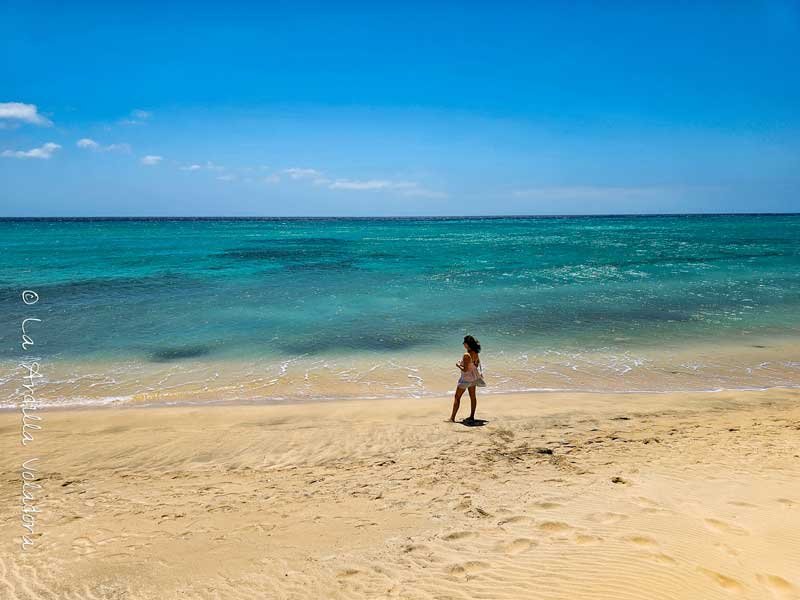 Aguas turquesas de Fuerteventura