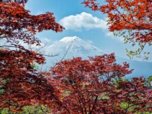 ruta por japon