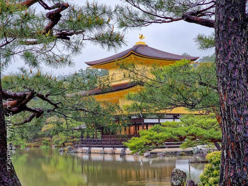 Templo dorado de Kioto, ruta por japon