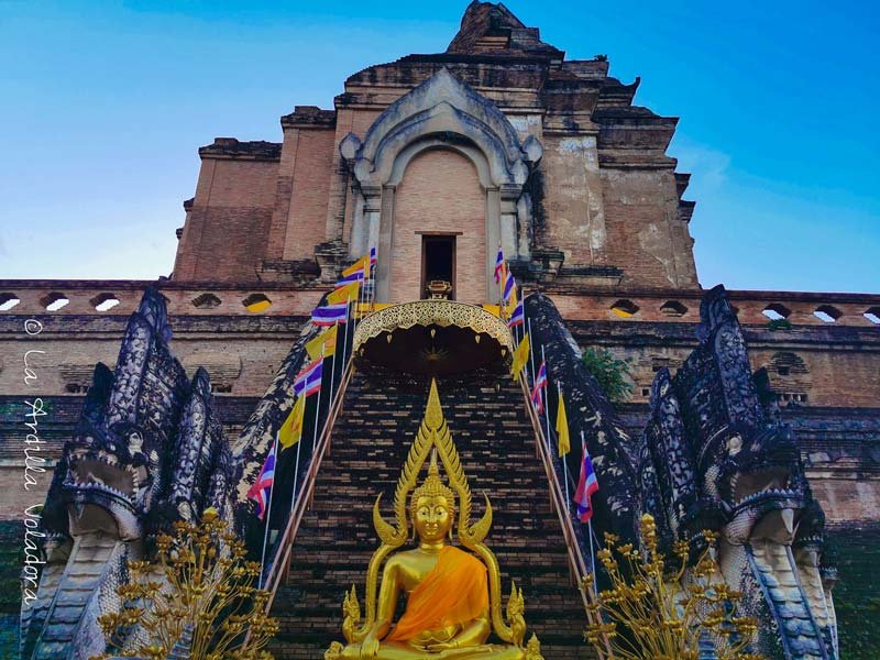 Wat Chedi Luang, Que ver en Chiang Mai