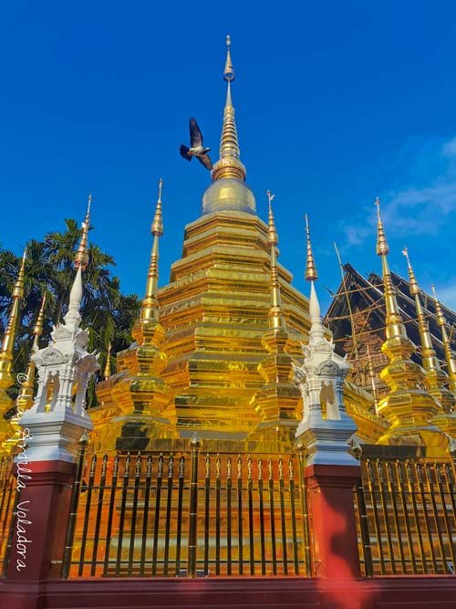 Wat Panthao, Que ver en Chiang Mai