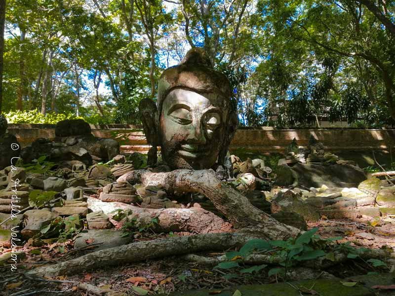 Wiam Kum Kam, Que ver en Chiang Mai