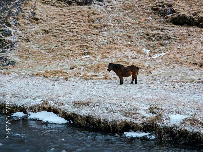 Consejos para viajar a islandia