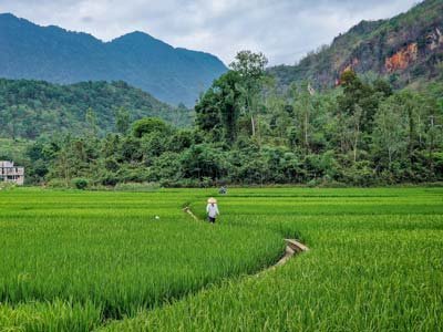 Mai Chau, guia de vietnam