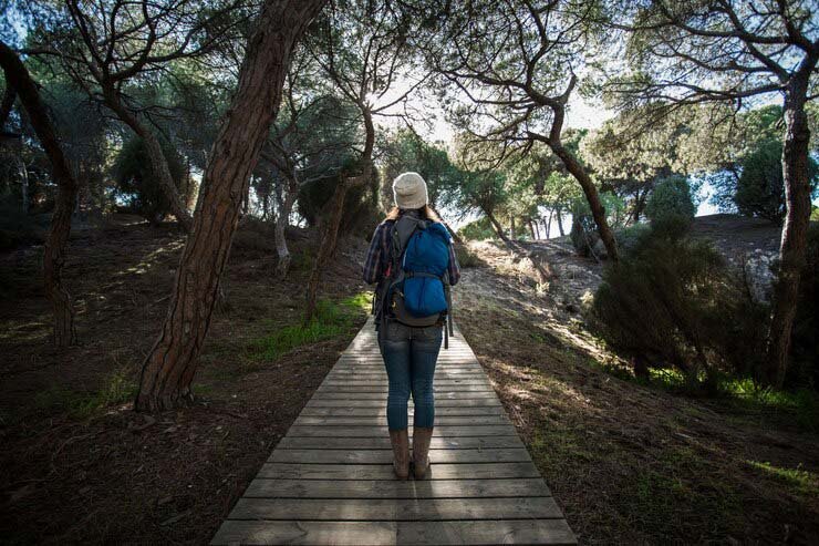 santiago Camino