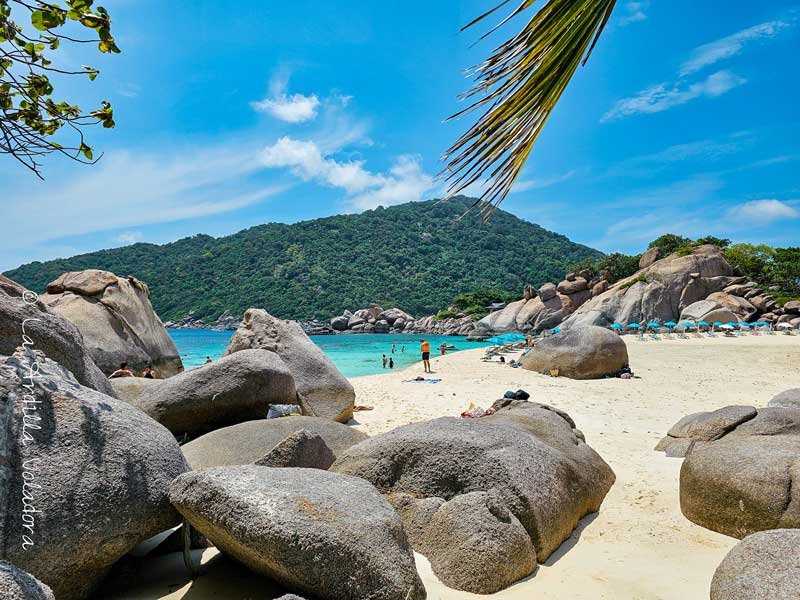 Como ir a Koh Nang Yuan desde Sairee