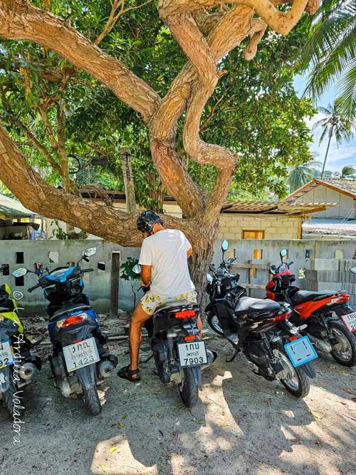 Como moverte por Koh Tao