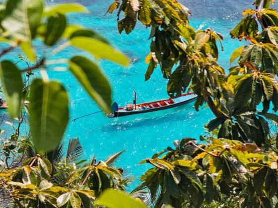 Donde comer en Koh Tao