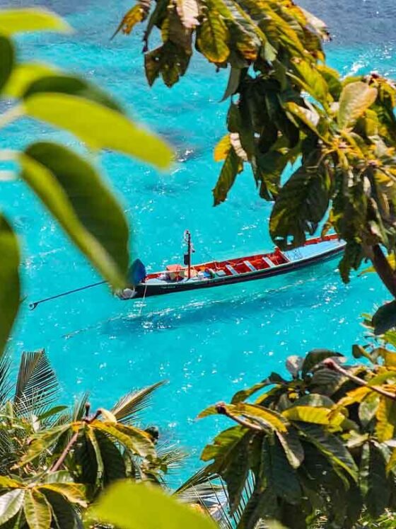 Donde comer en Koh Tao