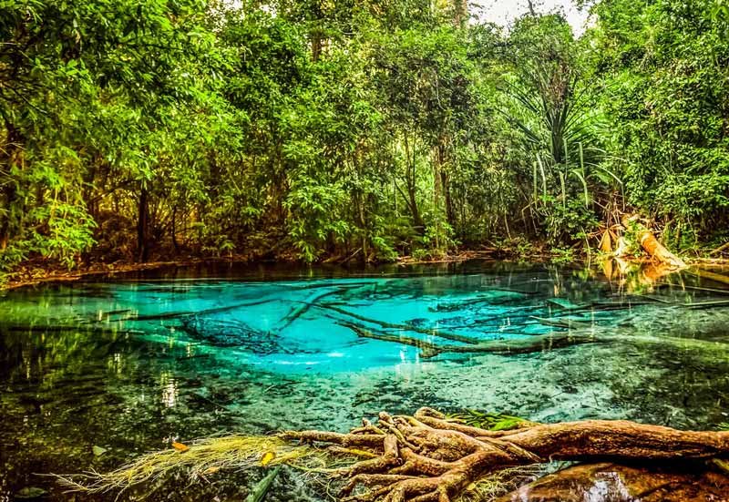 Emerald Pool, que visitar en Krabi