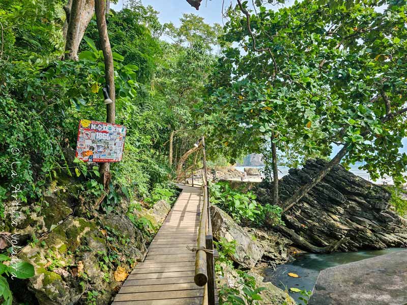 Monkey Trail, que visitar en Krabi