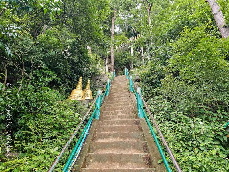 Precio de entrada al templo del tigre