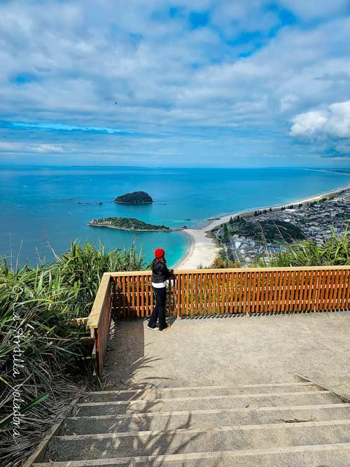 Tauranga, mi experiencia con HomeExchange